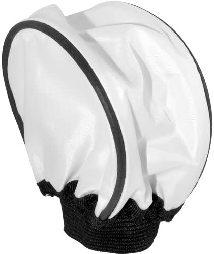 Studio Lighting Equipment for Photography & Video - Phoenix Photo