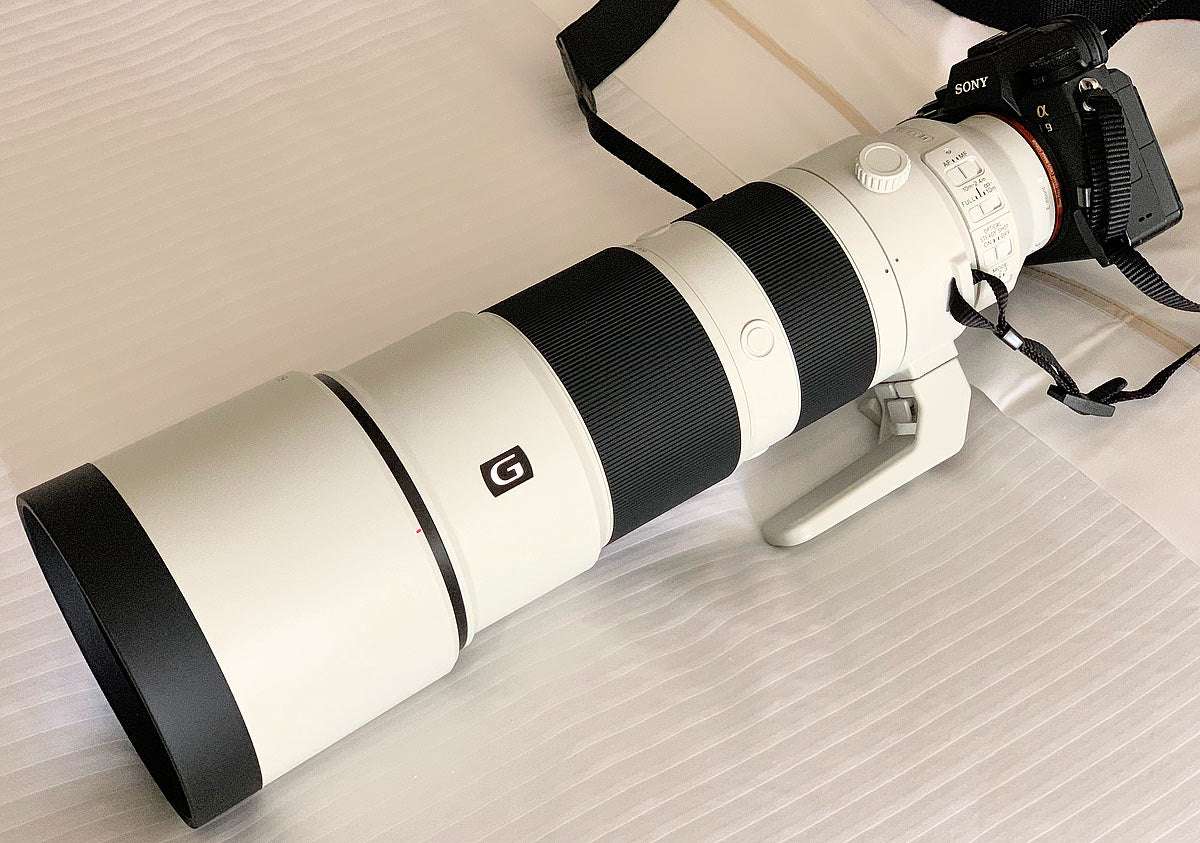 Sony FE 200-600mm f/5.6-6.3 G OSS Lens Bundle