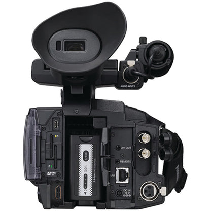 Panasonic AG-CX350 4K Camcorder with Deluxe Accessory Bundle: 2x SanDisk 128GB Ultra SDXC, 2x Spare Batteries, 160 LED Video Light, 80” Tripod/Monopod & Much More (30pc Bundle)