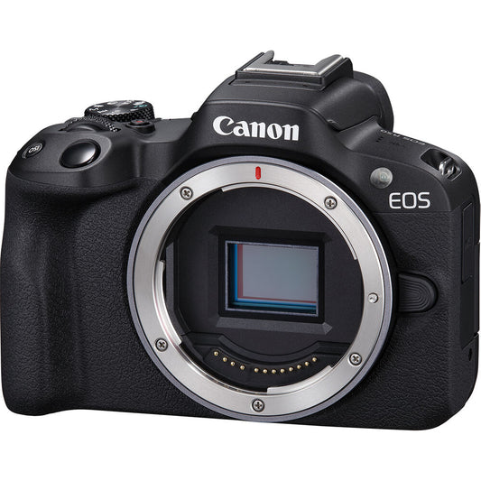 Best Travel Camera for Beginners